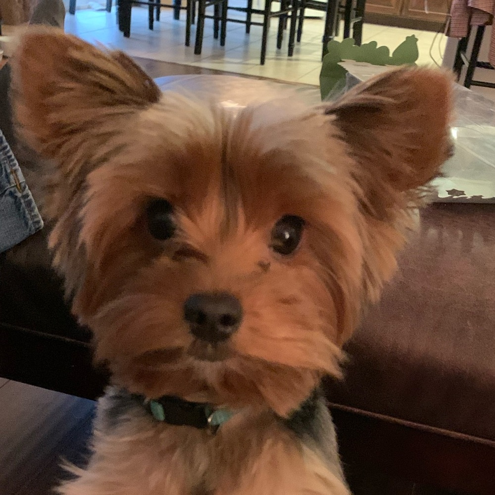 Meet your Posher, Rebecca